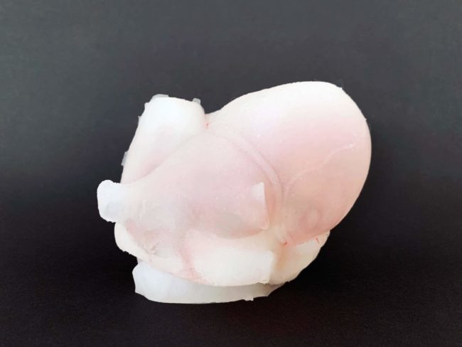 IMG_1641 3D printed heart