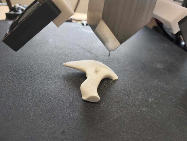 Particle3D Particle3D bone print