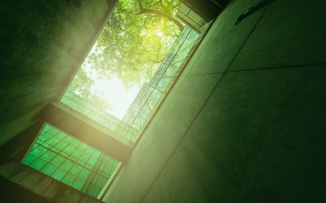 www-green-background green