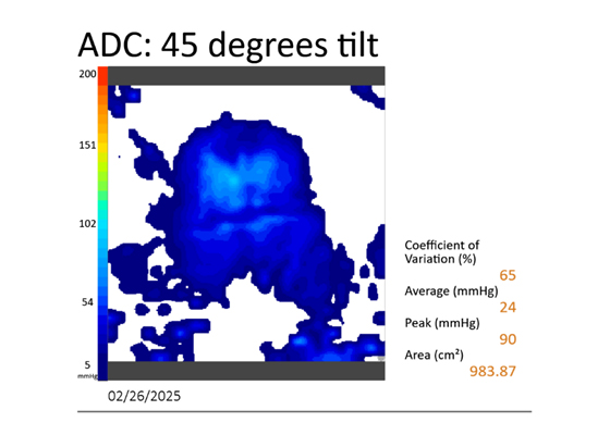 Foam seat pressure mapping 45 degrees