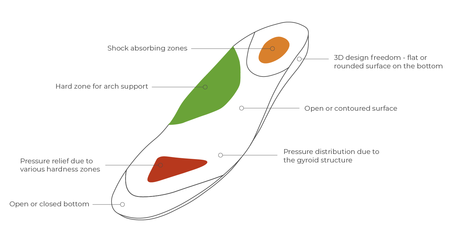 Insole illustration