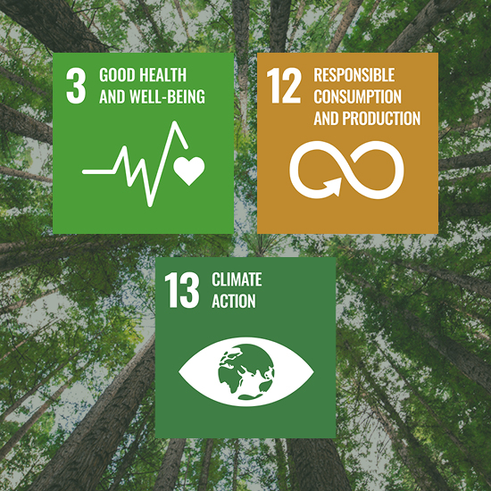 SDG icons