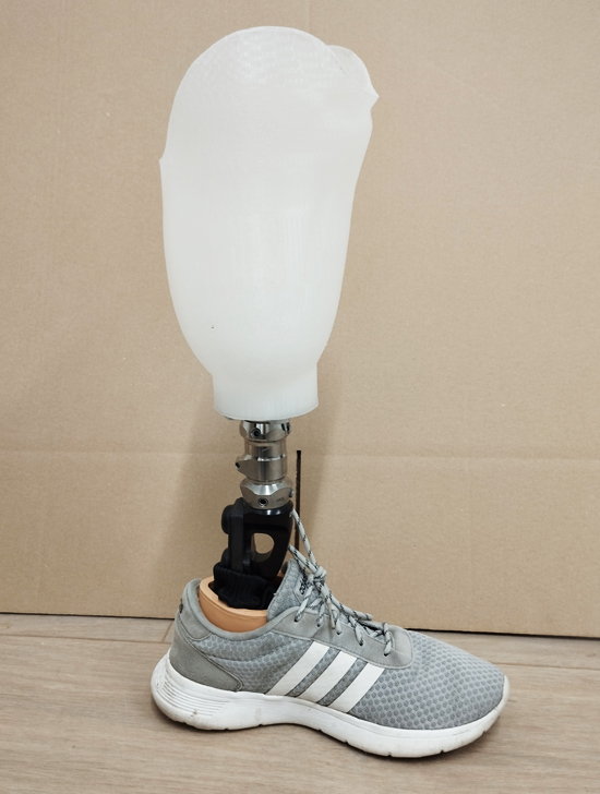 3D printed socket in shoe
