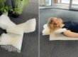 Head and neck support Programmable Foam